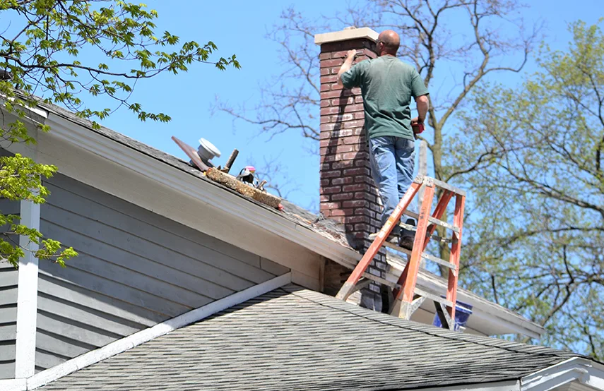 Chimney & Fireplace Inspections Services in Bella Vista, AR